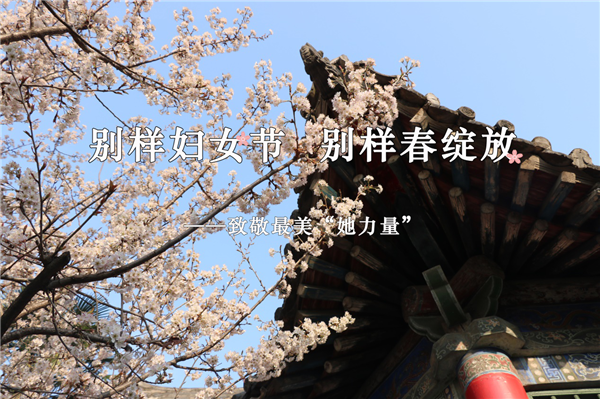 1583679122515069.png 1.png