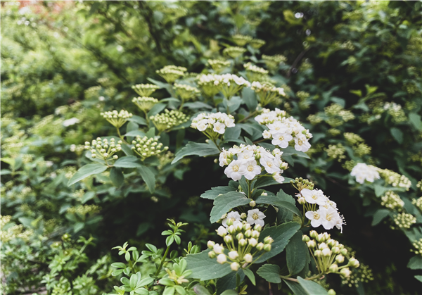 1585902726320304.png 圖片4_副本.png