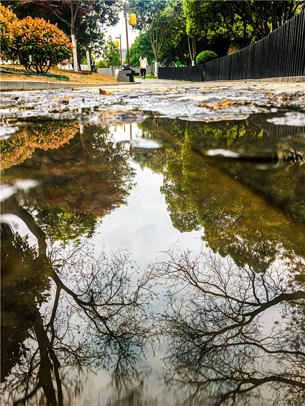 1585902797439706.png 圖片7_副本.png