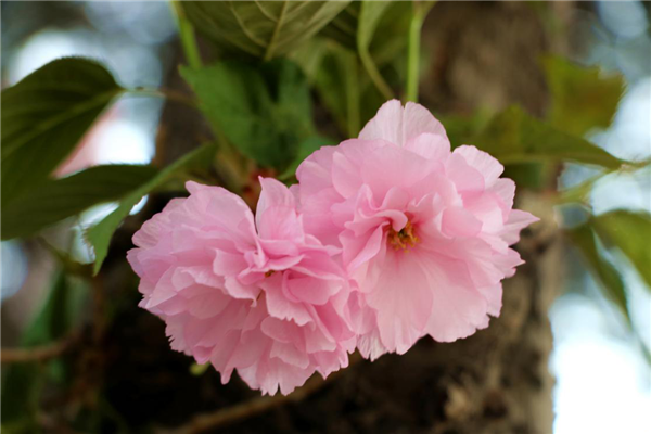 1586310155559030.png 03_副本.png