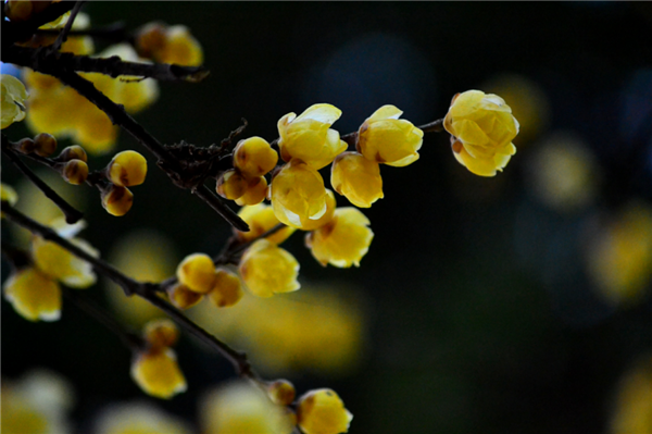 1586310188719410.png 05_副本.png