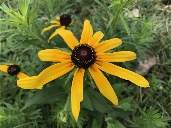 1586310269972965.png 10_副本.png