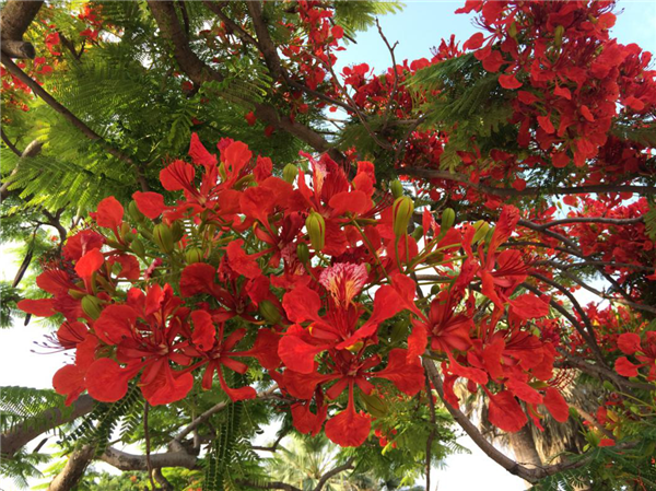 1586310298890963.png 12_副本.png