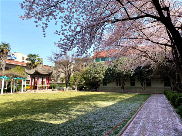 1586310403944073.png 17_副本.png