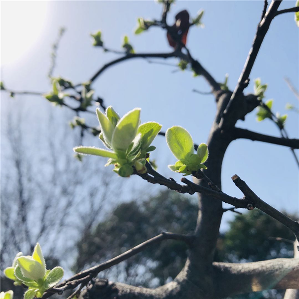 1587003688617326.png 圖片3_副本.png