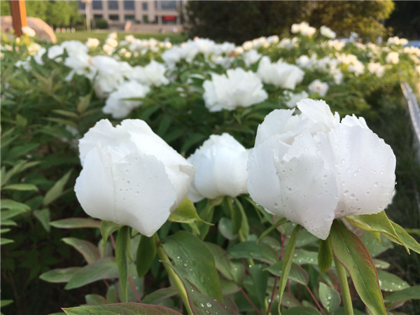 1587352225180588.png 03_副本.png