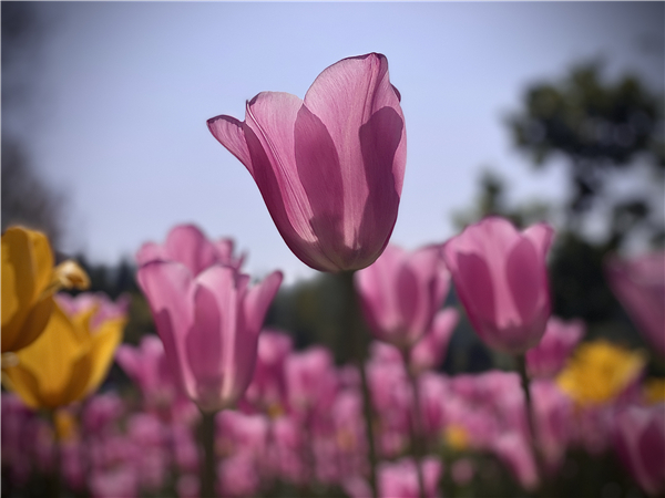 1587471193436198.jpg 2_副本.jpg