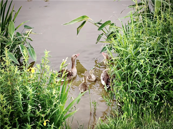 1587471487910996.jpg 8_副本.jpg