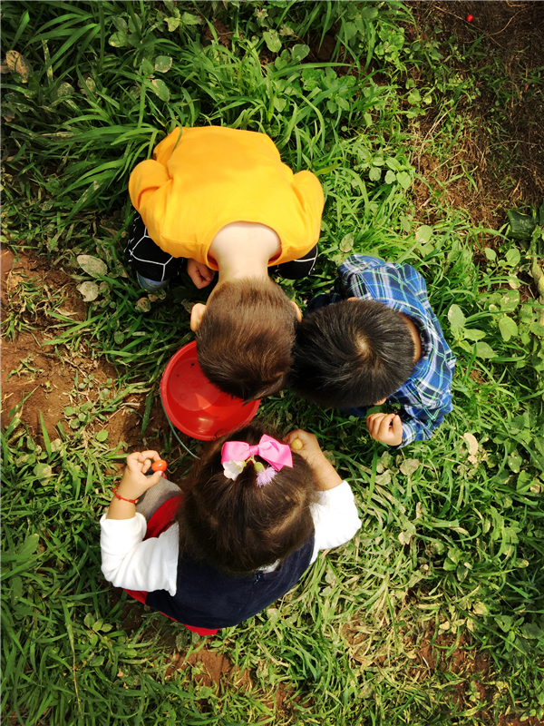 1587471598912506.jpg 12_副本.jpg