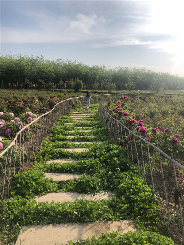 1587472173959538.png 圖片5_副本.png