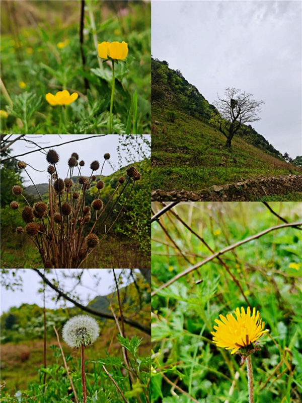 1587478143429832.jpg 4_副本.jpg