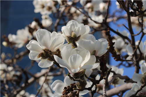 1646879341564935.jpg 圖片2_副本.jpg