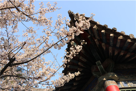 1679279271742794.jpg 圖片3.jpg