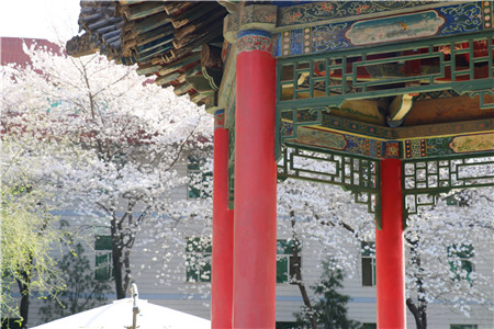 1679279283780935.jpg 圖片5_副本.jpg