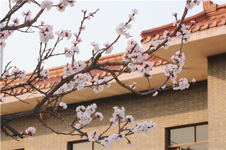 1679279299226479.jpg 圖片7_副本.jpg