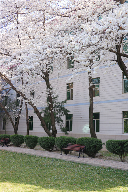 1679279315197074.jpg 圖片11_副本.jpg