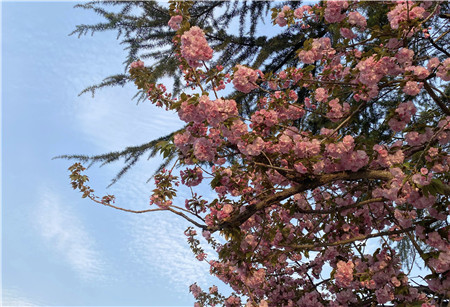 1680251655924569.jpg 圖片1_副本.jpg