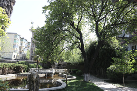 1680251671949379.jpg 圖片3_副本.jpg