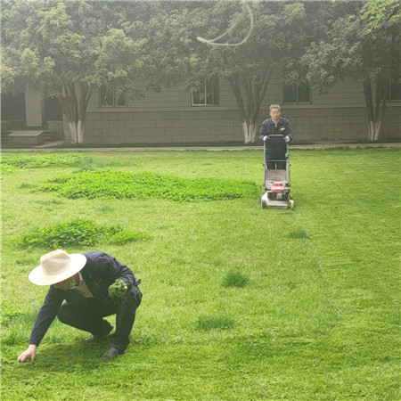 1681727660828819.jpg 圖片2_副本.jpg